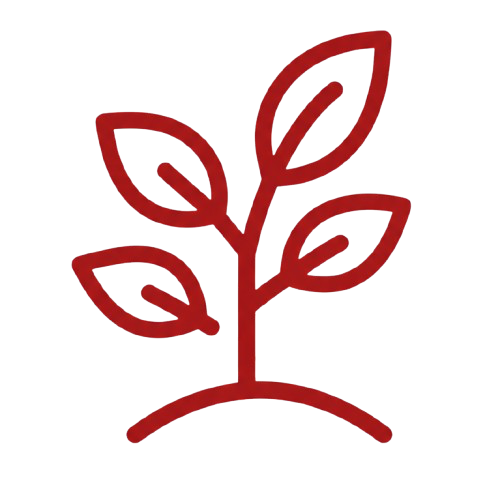 How Peniel Moment Helps Growing Christians